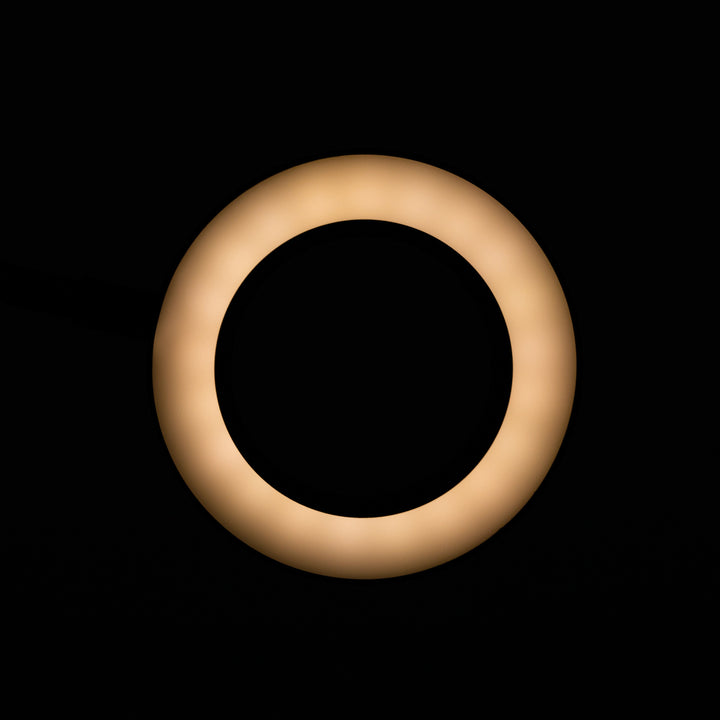 Loeplamp LED 5D met Tafelklem USB Zwanenhals Zwart - afbeelding 5