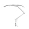 LED Lampe med Klemme og Justerbar Farve- og Lysintensitet Glow L05 Hvid
