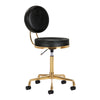 Tabouret Verstelbaar H5 Goud-Zwart