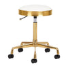 Tabouret Verstelbaar Eco Leder H7 Goud-Wit